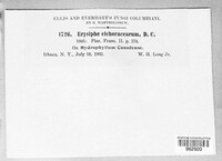 Image Associated With the Occurence